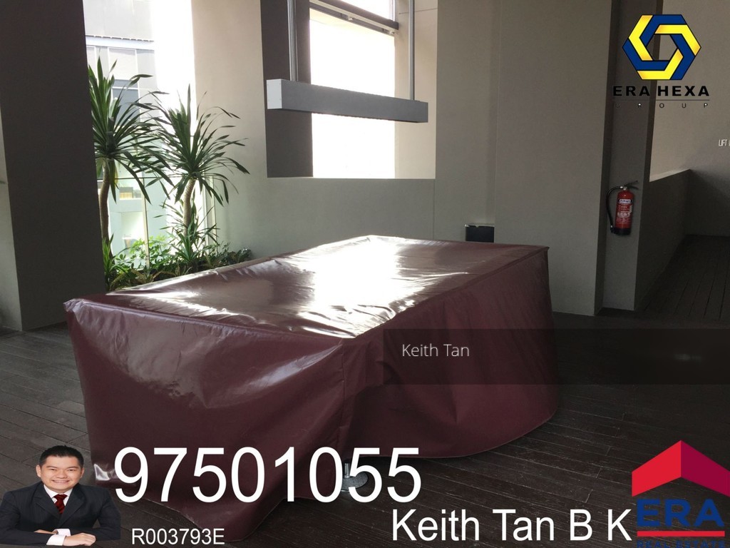 Skysuites@Anson (D2), Apartment #140419042